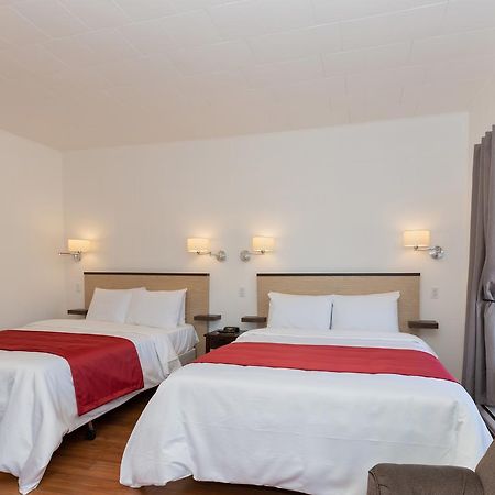 Motel Au Fleuve D'Argent Rivière-du-Loup エクステリア 写真